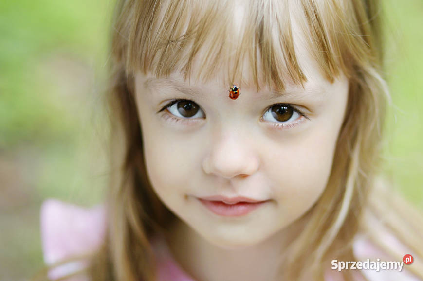 Sesja fotograficzna dziecięca i rodzinna Wrocław dolnośląskie