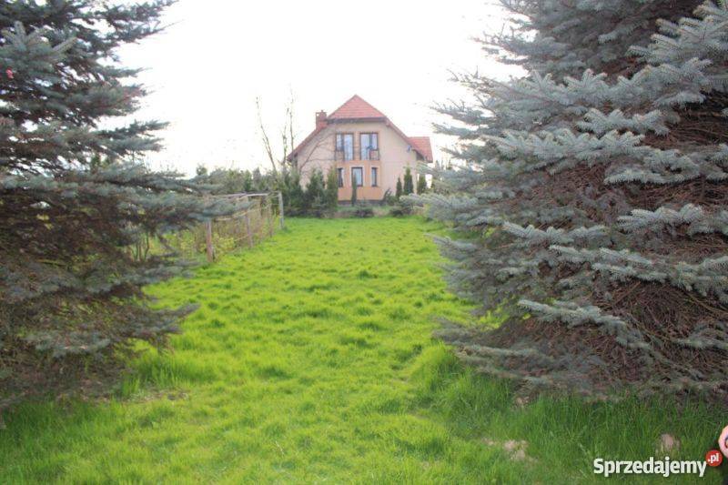 Okazja sprzedam działkę budowlaną Nowy Sącz