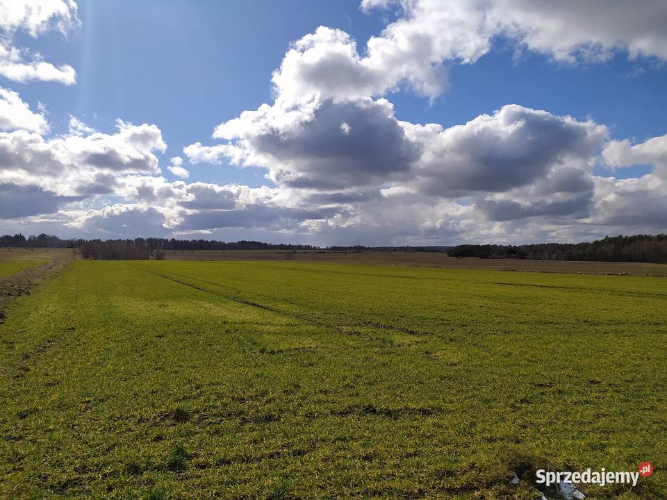 tapeta z Windows XP Kaczkowo sprzedam