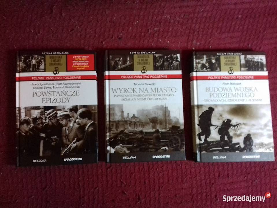 Polskie Państwo Podziemne książki nowe Ziębice