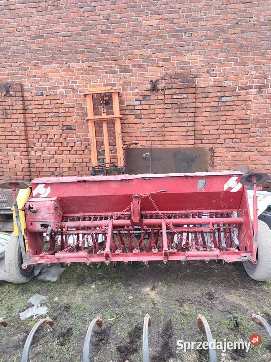 Siewnik poznaniak Kurowice