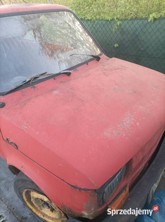 Maluch 126p Pozostałe Radomyśl Wielki