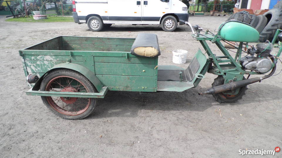 dzik bagażnik wielkopolskie