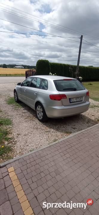 Audi A3 8P 19 TDI manualna świętokrzyskie Końskie sprzedam