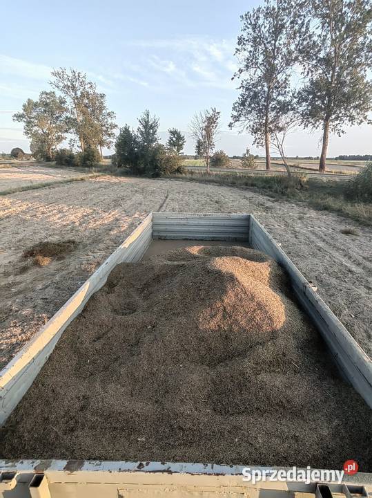 Saladera 2026 Brzostówka