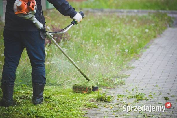 Koszenie kosą spalinową wykaszanie traw łąk śląskie Pszczyna