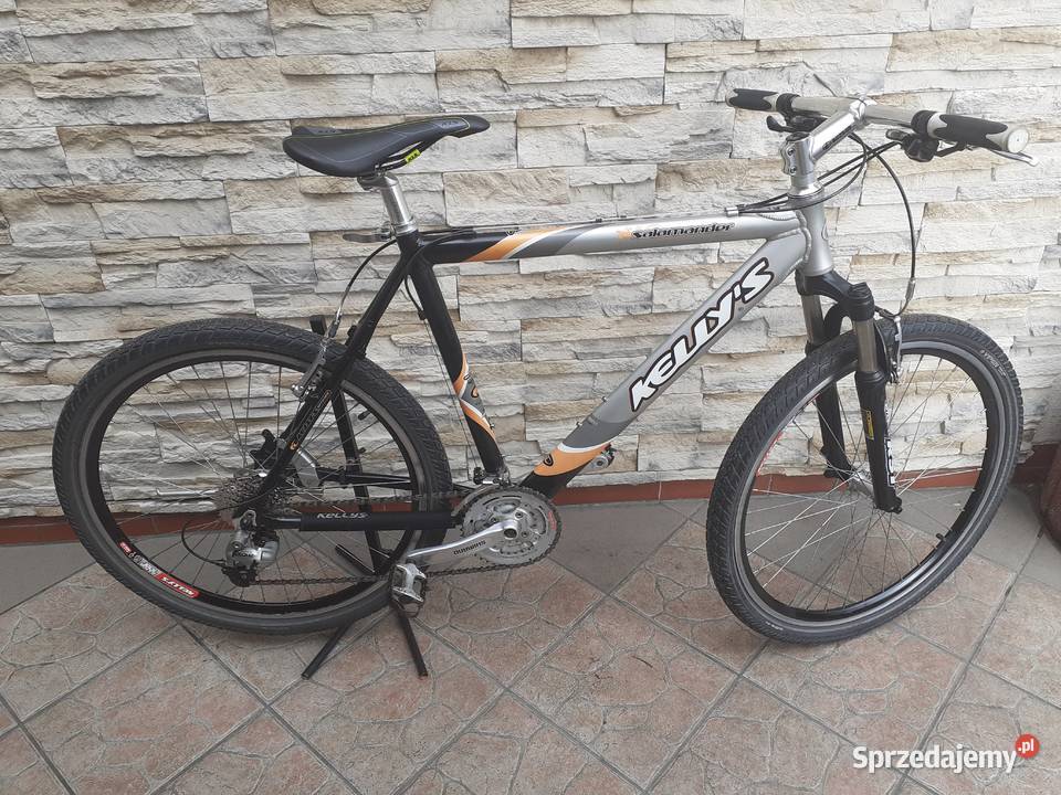 Rower damka kola 28 Września