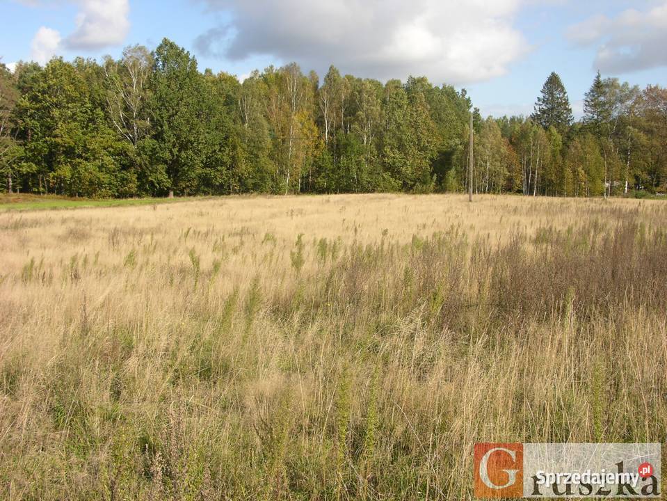 Działka w Szemudzkiej Hucie 149 M2 Szemudzka Huta