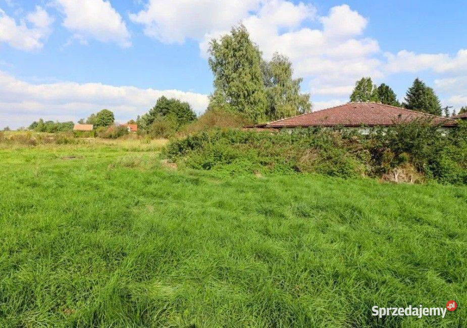 Cholerzyn działka budowlana 8 arów sprzedam