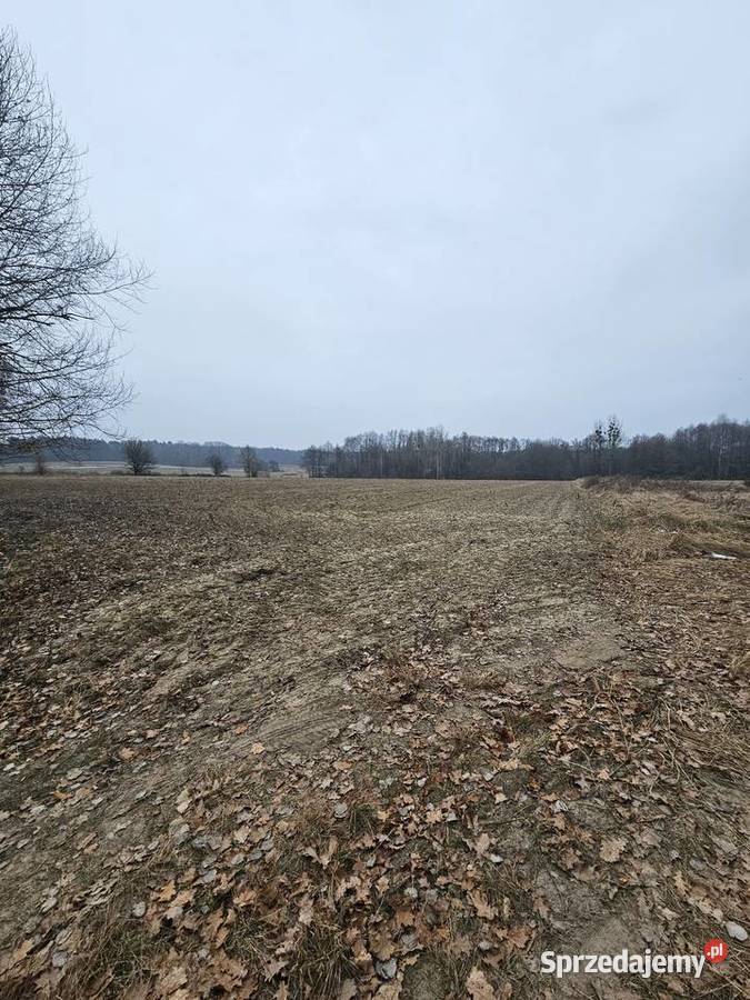Działki budowlane i rolne Dolina Baryczy Łazy Wielkie sprzedam