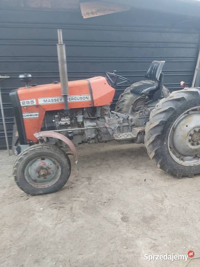 Massey ferguson 255 Jawiszowice