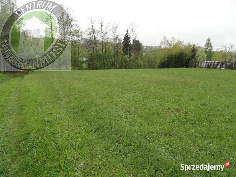 Grunt 4100m2 Łęki sprzedam