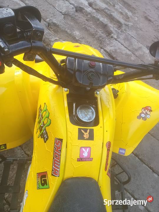 bashan 200 doinwestowany