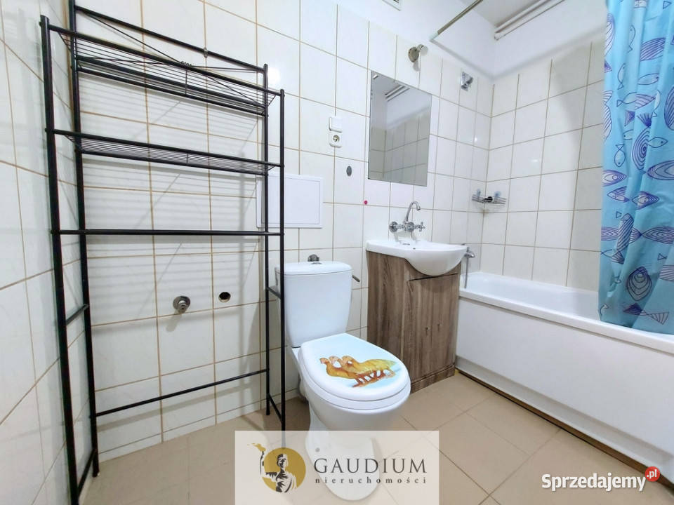 mieszkanie 2 pokojowe na wynajem Tczew sieć pomorskie