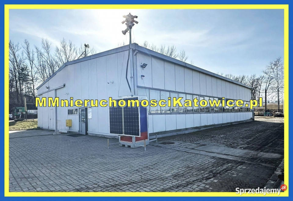 Hala wolnostojąca do wynajęcia Mysłowice plac śląskie