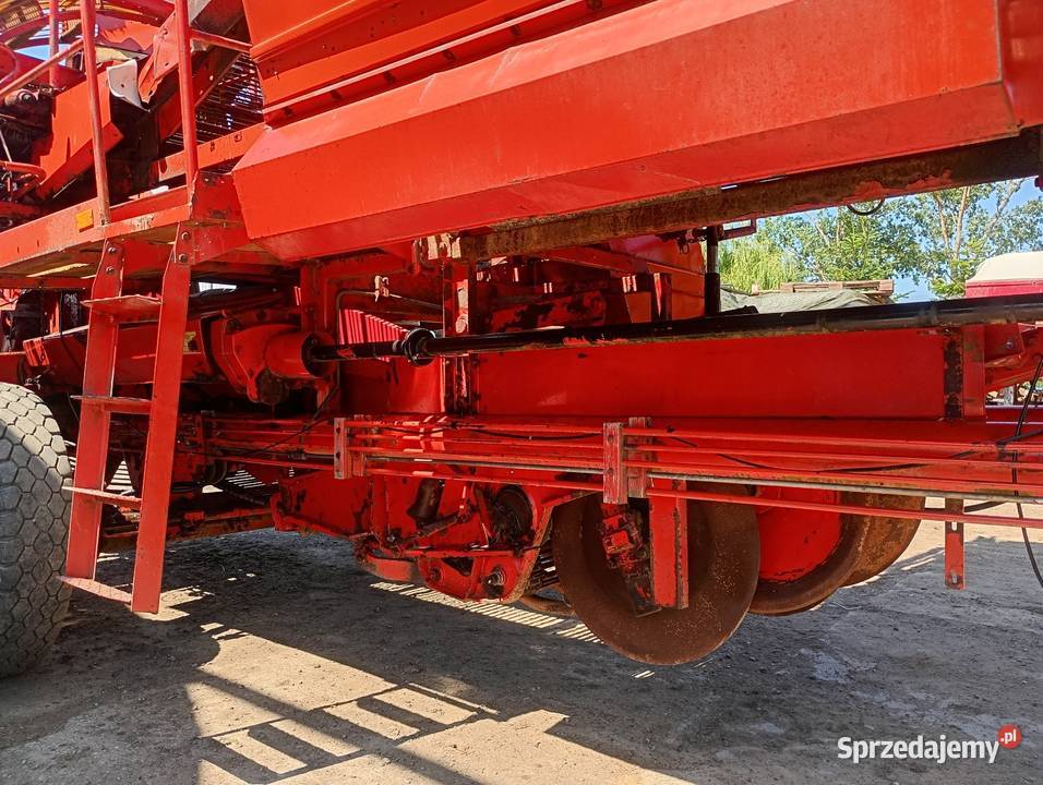 Kombajn do ziemniaków grimme 750 Marynowy