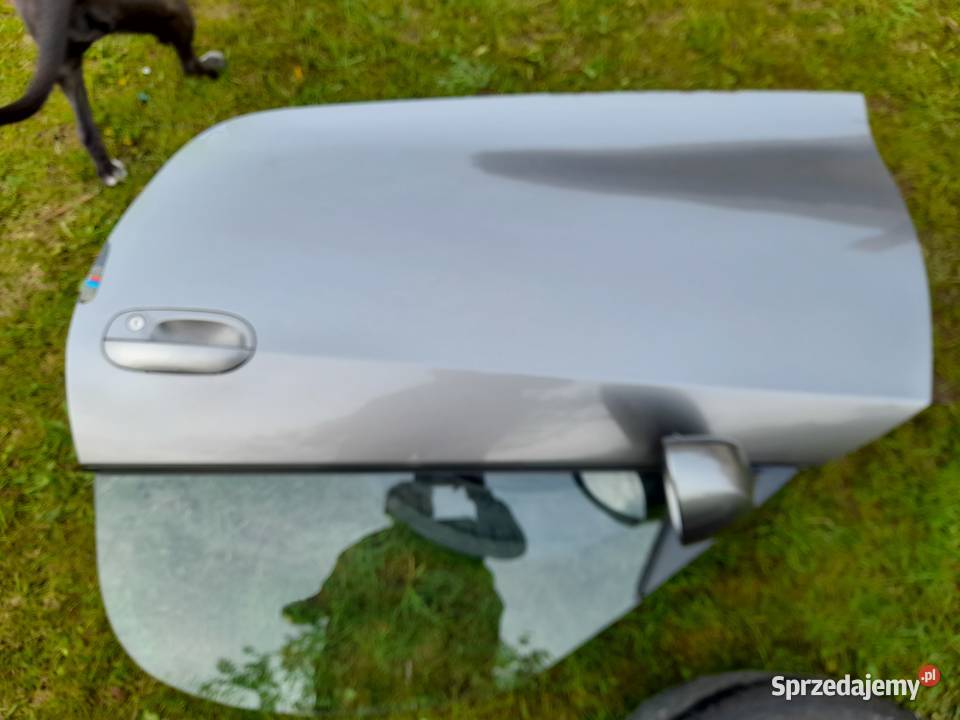Drzwi lewe BMW Z4 E85 do lakierowania Białystok sprzedam