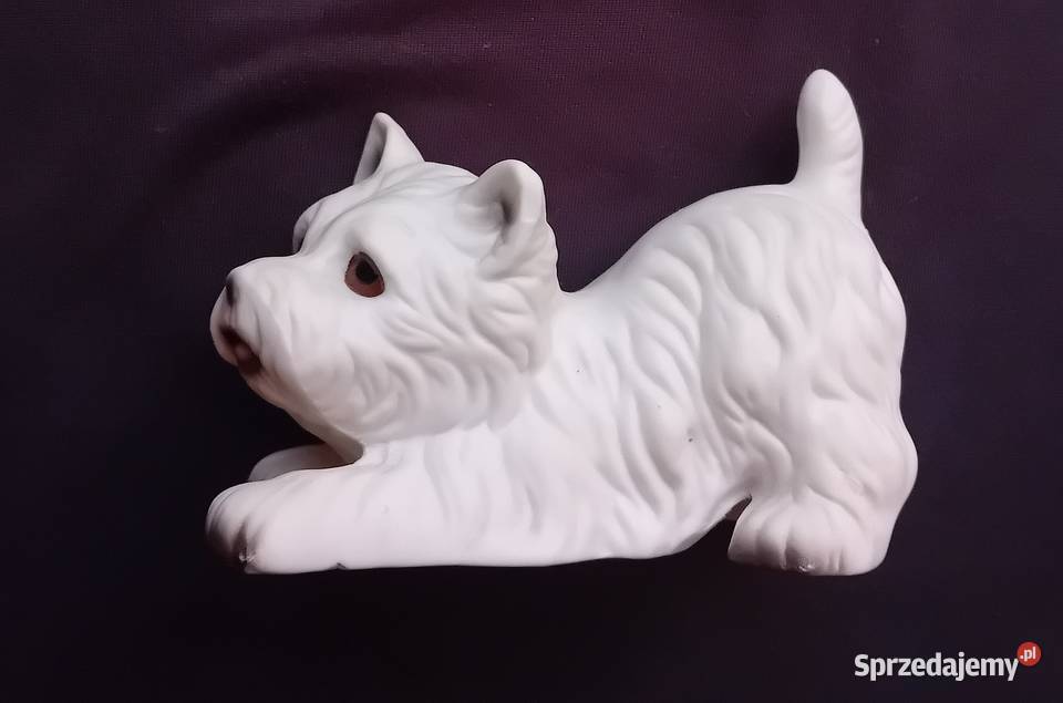 Figurka z porcelany biskwitowej pies West sprzedam
