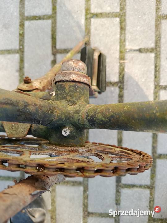 Rower z 30 lat RIEMANN Wołów