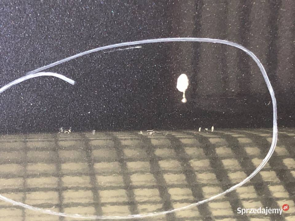 DRZWI PRAWY PRZÓD HONDA CRV III SUV Drzwi