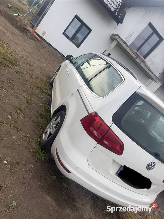 Volkswagen Sharan Sharan Rosochata