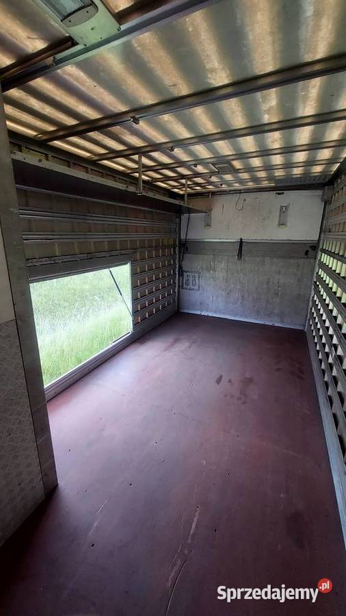 Zabudowa kontener kamper koniowóz Rok produkcji 2011 Mińsk Mazowiecki