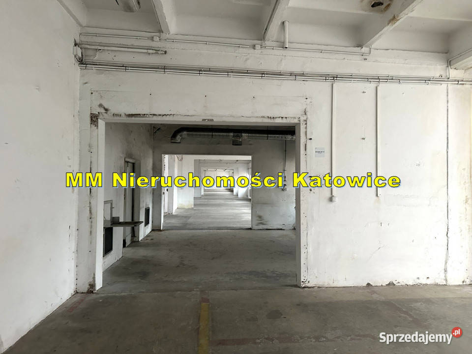 Hala z suwnicą do wynajęcia Katowice ogrzewanie