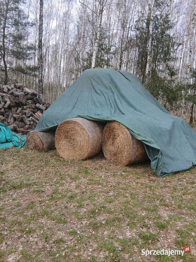 Słomę sprzedam Trawy, słoma