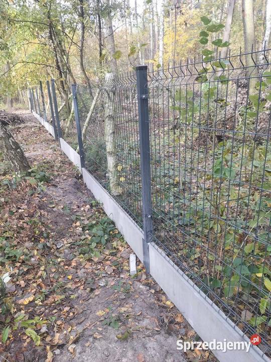 OGRODZENIA BRAMY FURTKI MONTAŻ I WYKONANIE Kwiatkowice