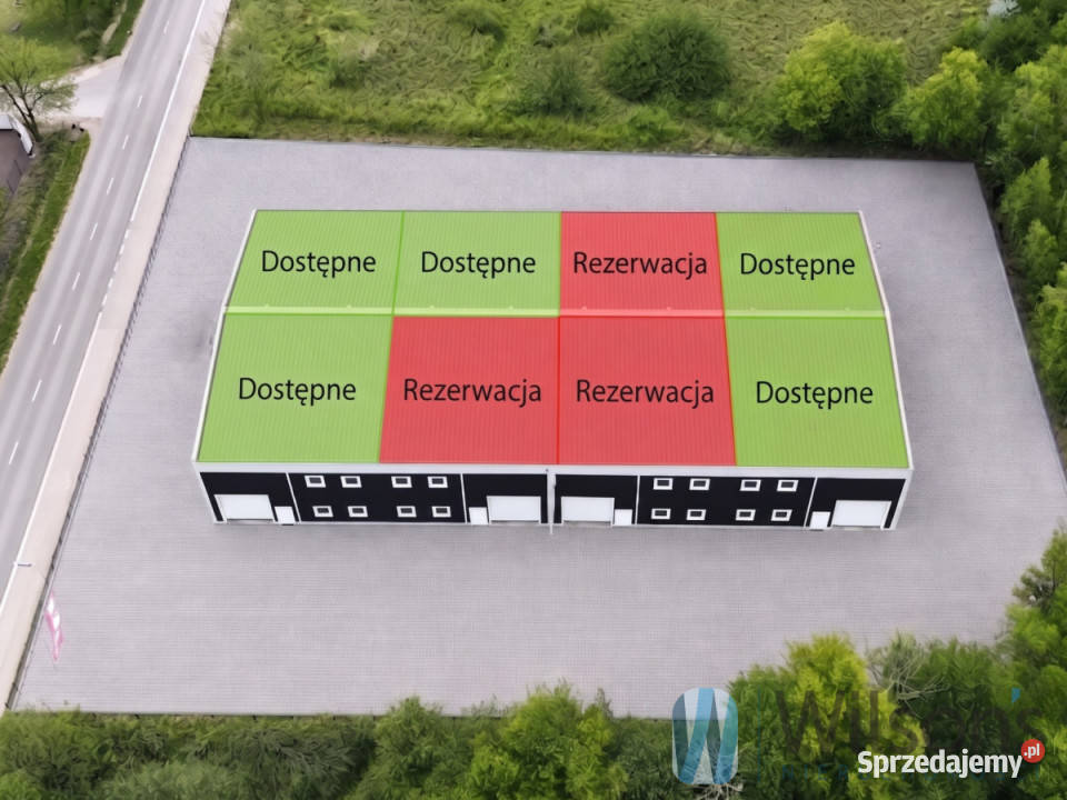Lokal Stara Wieś 225m2