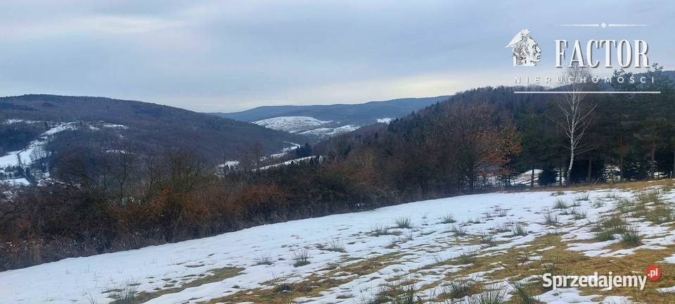 Działka budowlana 107 ha Siary gm Sękowa