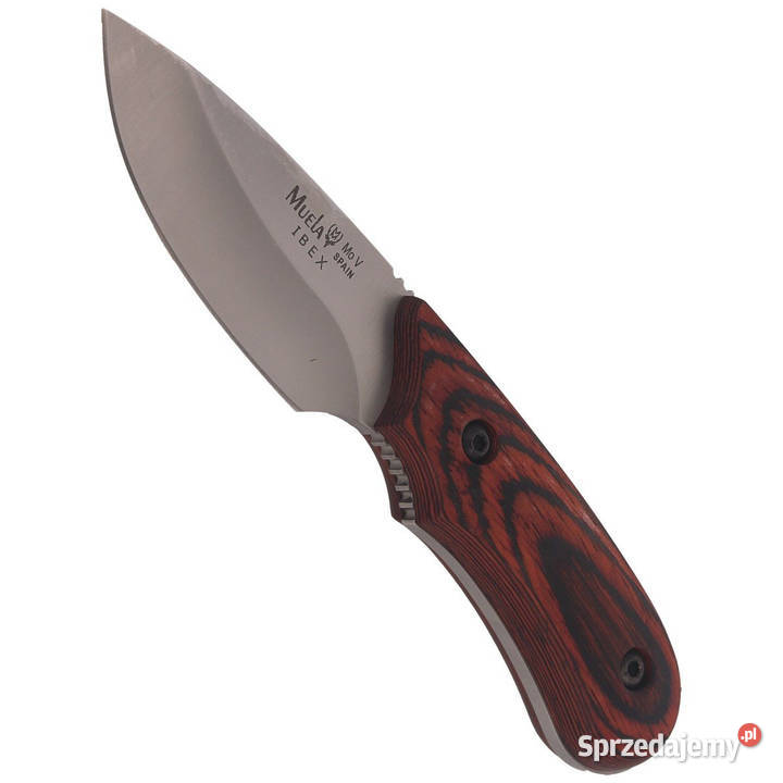 Nóż Muela Full Tang Pakkawood Satin X50CrMoV15 mazowieckie Warszawa