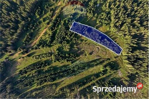 Działki Rolne Sprzedaż Dzianisz Sprzedaż