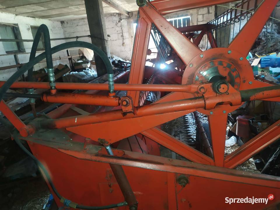 bizon zo 56 super Hryniewicze Małe