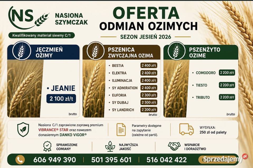 Nasiona zbóż ozimych pszenicy pszenżyta wielkopolskie Strzydzew sprzedam