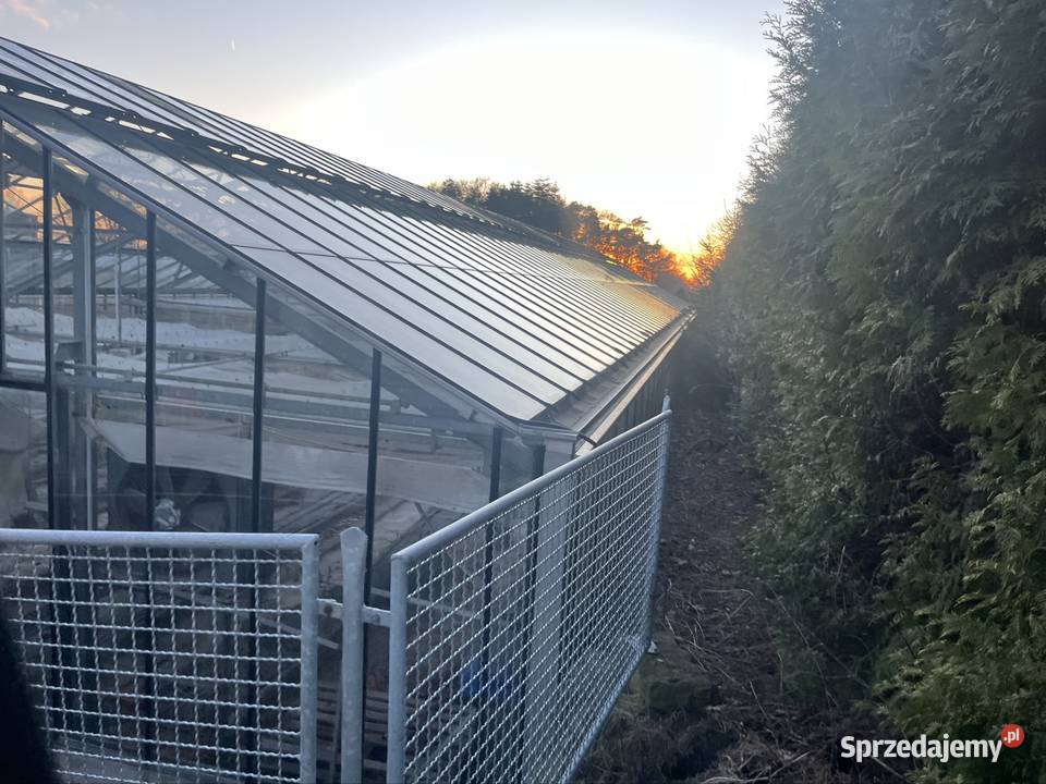 Szklarnia przemysłowa do rozbiórki 30m 10m Turek