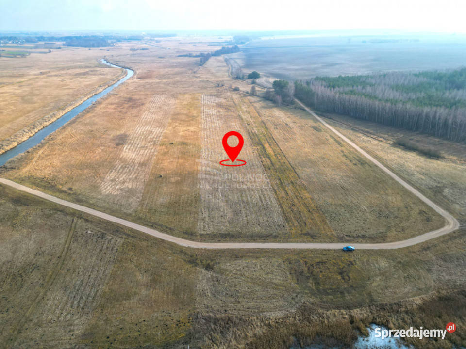 Łąka Horbów Kolonia gm Zalesie pow bialski Sprzedaż Horbów-Kolonia