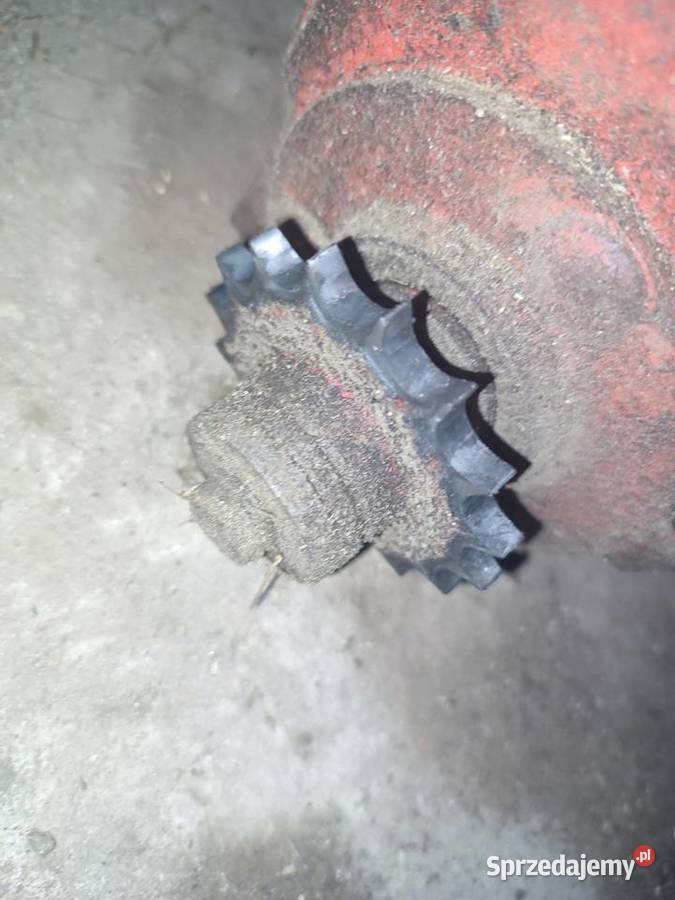 Zębatka mała napędu koła odpylającego Ferguson Massey Ferguson Dąbrówka Mała