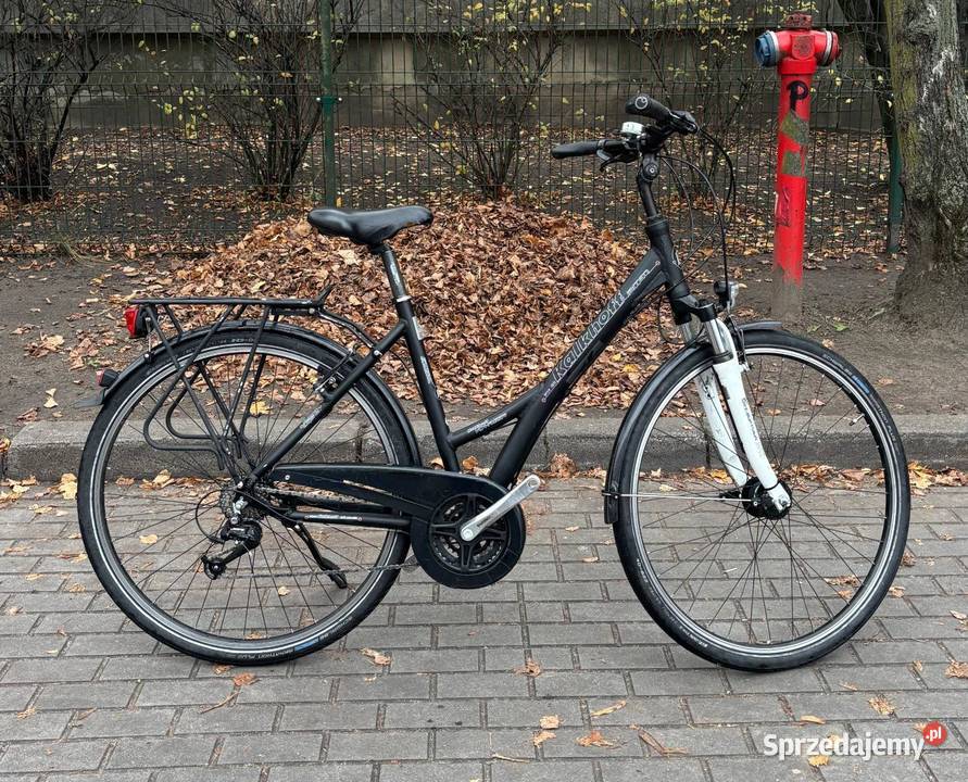 Rower damskijmiejskij wielkopolskie Poznań