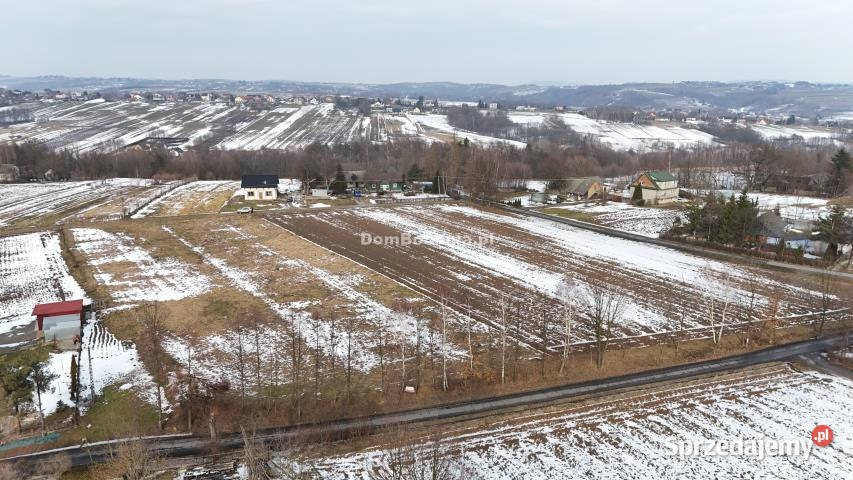 Ogłoszenie działka 1401m2 Tworkowa 1401m2 sprzedam