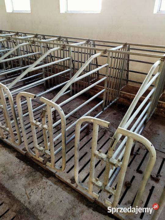 Kojce do loch Całość