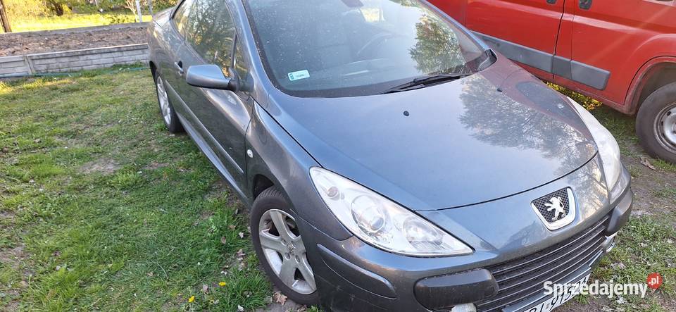 Peugeot 307 cabrio Sochaczew