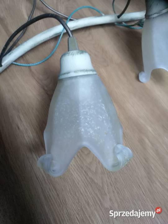 Lampa wisząca sufitowa z motywem kwiatowym Oleśnica