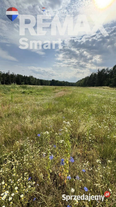 działka budowlana w otoczeniu lasu Gójszcz
