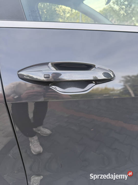 Kia Sportage 16 TGDI HEV Business Line 2WD Rok produkcji 2024 Kraków