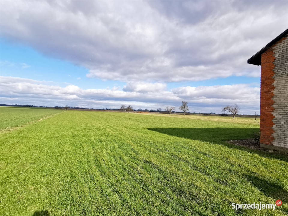 sprzedaży domu Wacławów 80m2
