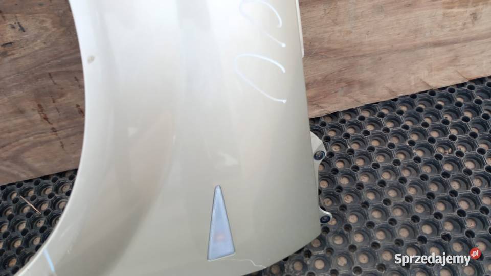 RENAULT SCENIC II BŁOTNIK PRZÓD LEWY TED11 Zbierkowo sprzedam