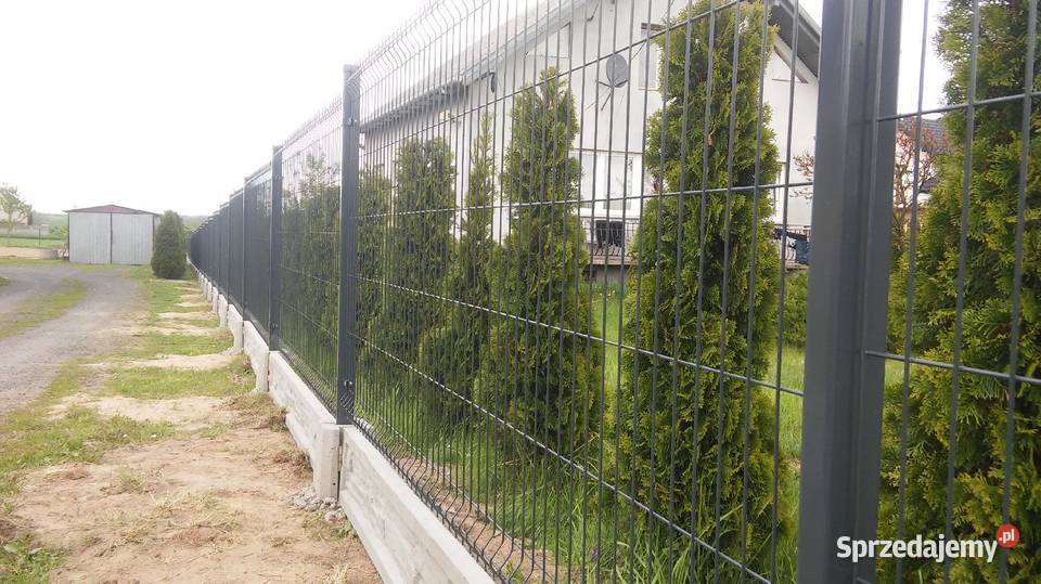 Ogrodzenia Panelowe Panel Panele Montaż Dom i Ogród Ciepielów