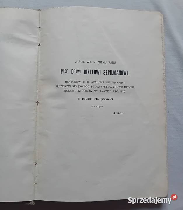 Eugeniusz Adolf Terlecki Chów gołębi Lwów 1907 r wielkopolskie Koźminek