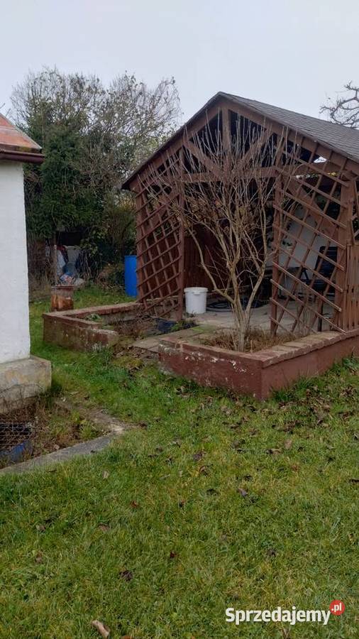 Działka RODPrzyszłość Sprzedaż